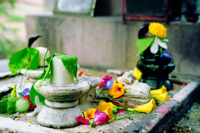 Pandit For Rudrabhishek Puja – Pandit in Delhi NCR with all Pooja Samagri